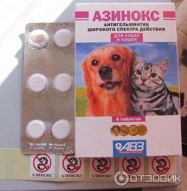 Азинокс для кошек — расчет дозировки, состав и принцип действия таблеток от глистов