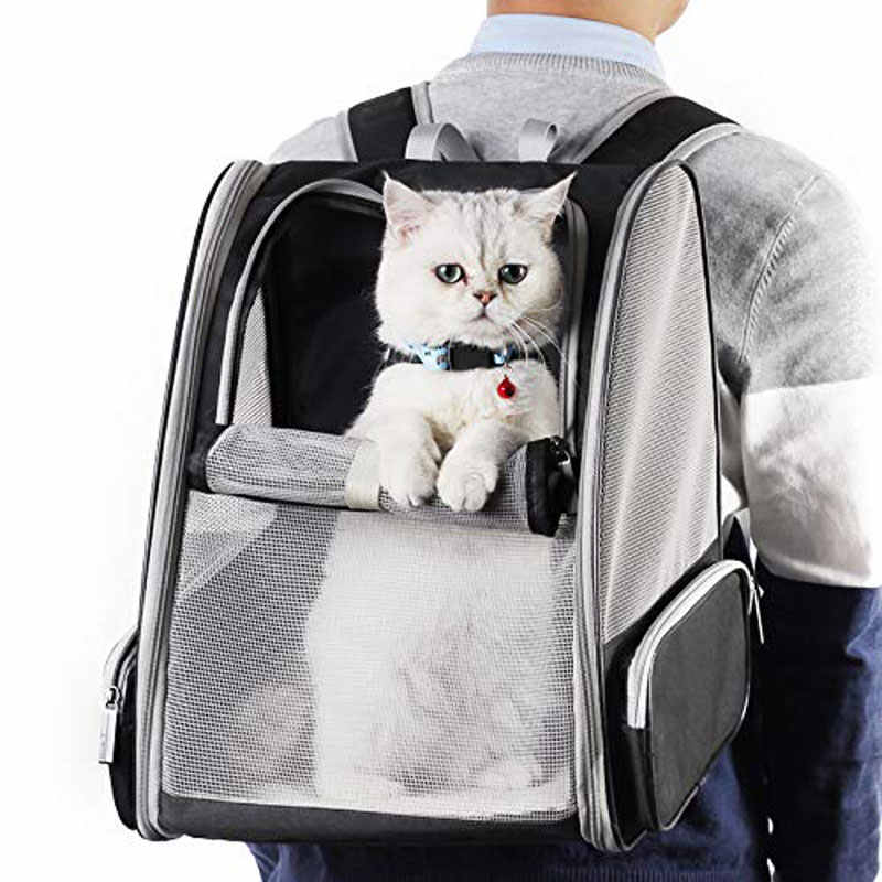 Переноска для кошки: как сделать своими руками кошачью сумку, фото