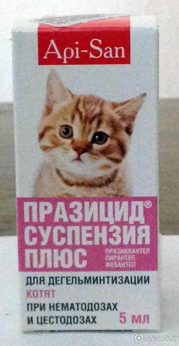 Суспензия празицид для котят - инструкция по применению
