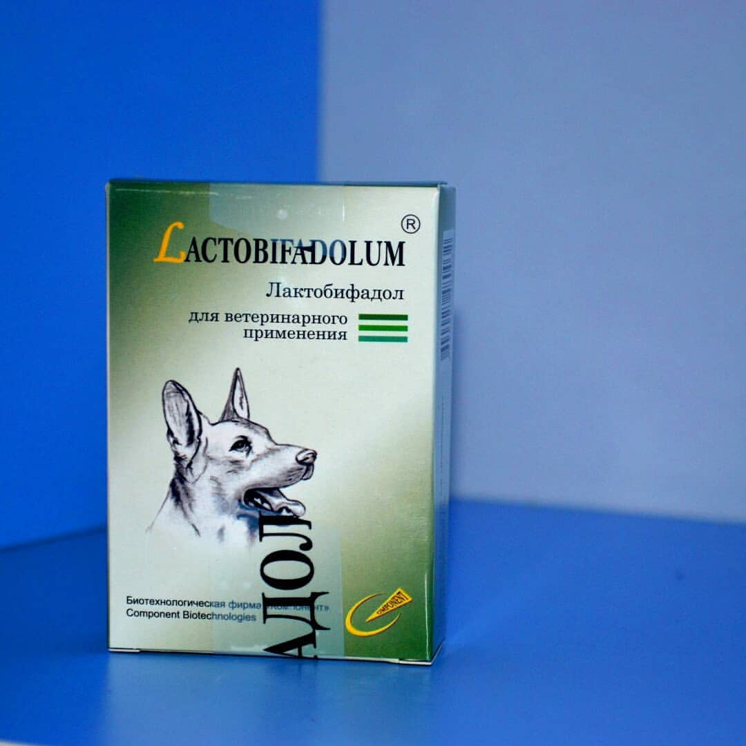 Лактобифид (таблетки) для собак и кошек | отзывы о применении препаратов для животных от ветеринаров и заводчиков