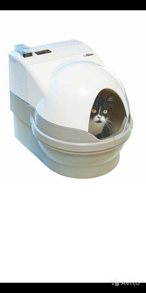 8 лучших закрытых туалетов для кошек 2021