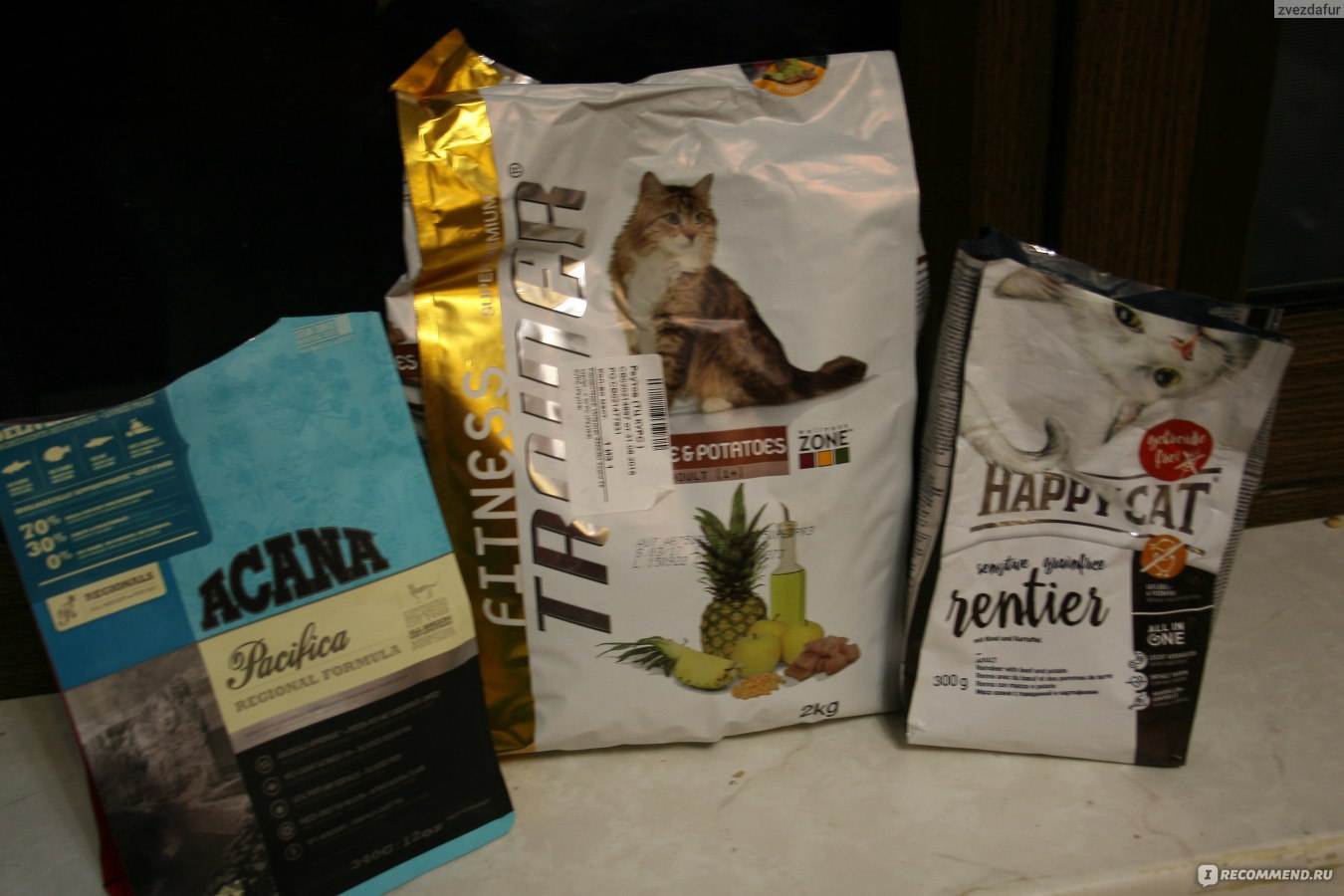 Гипоаллергенные корма для кошек: 15 влажных и сухих продуктов с описанием