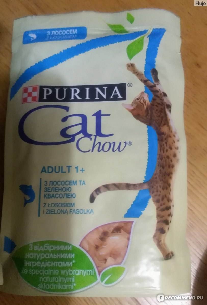Кэт чау для кошек — разбор состава корма и отзыв ветеринара