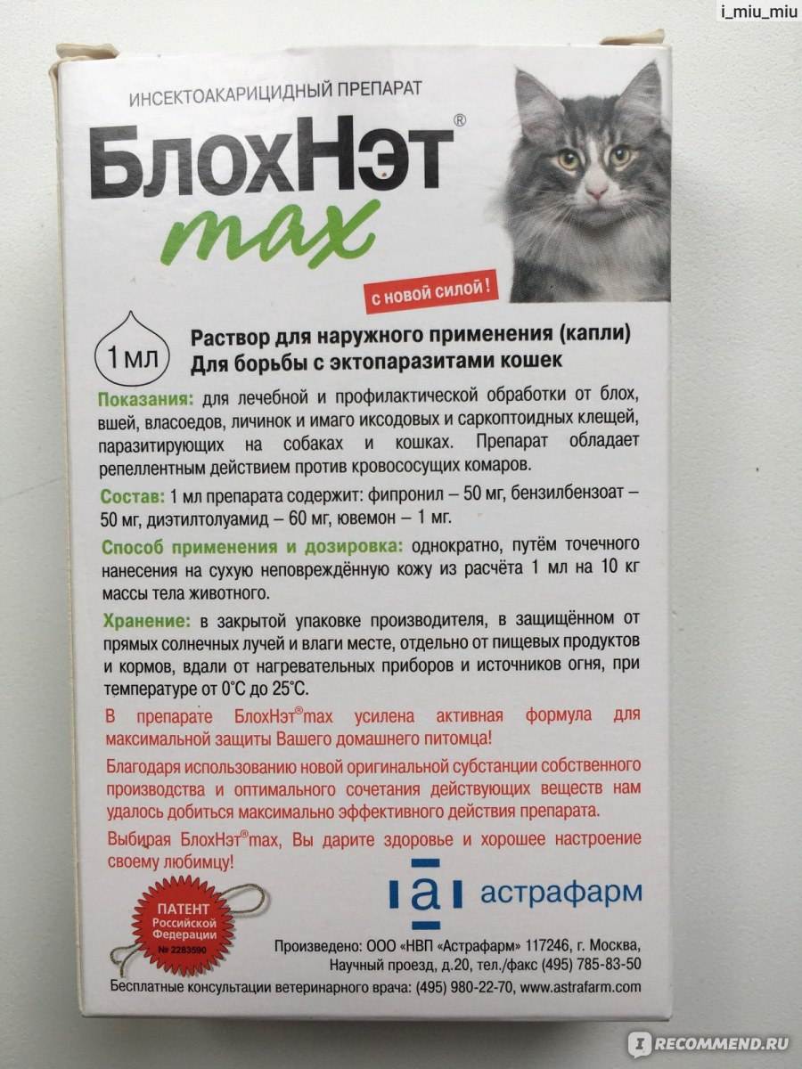 Кот баюн для кошек и котов описание и инструкция по применению
