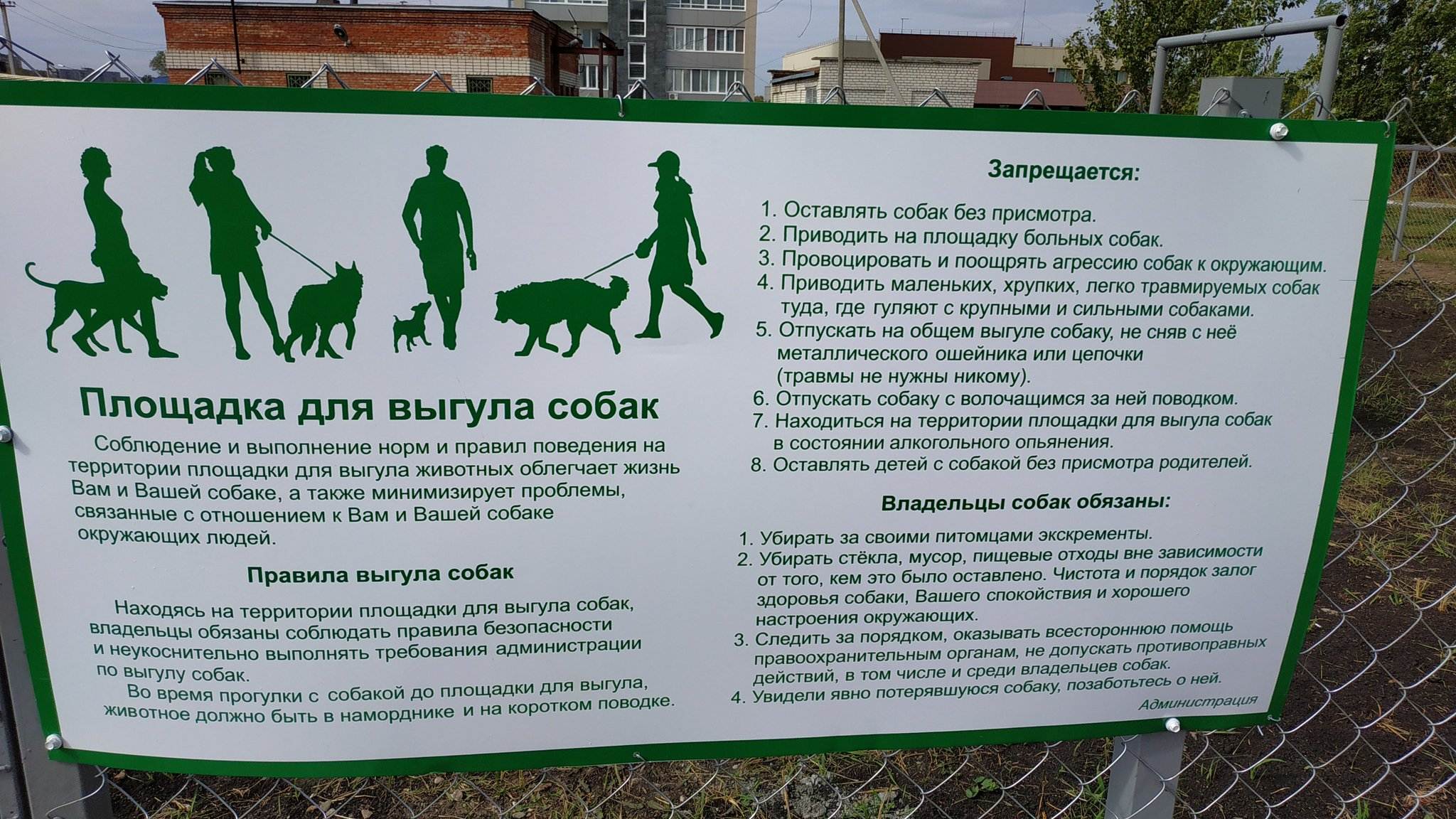 Правила выгула собак: закон рф, штрафы, комментарии