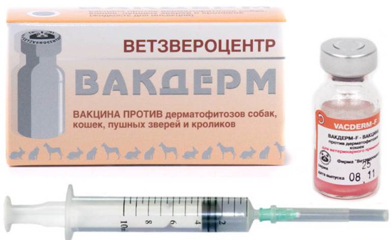 Вакдерм вакцина для кошек и собак. применение, побочные действия и цена вакдерма
