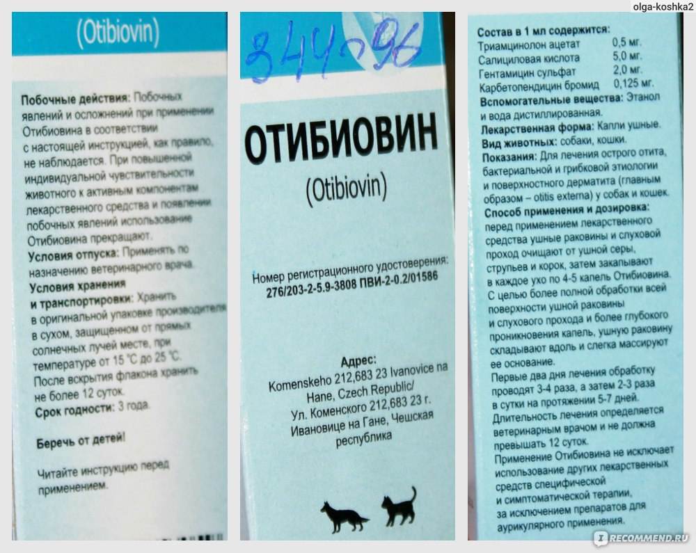 Амитразин для кошек: инструкция по применению, состав препарата, отзывы, аналоги