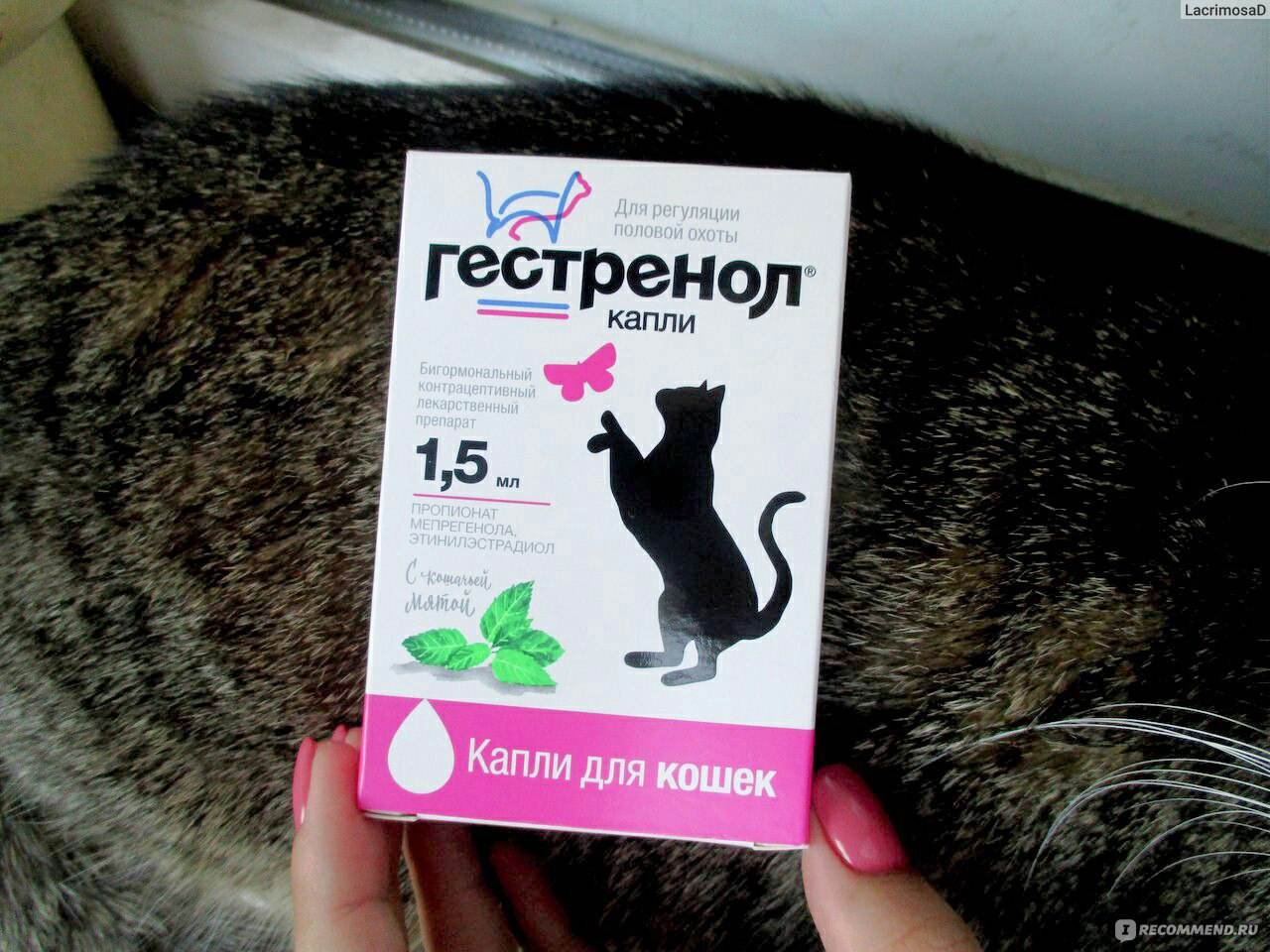 Гестренол контрацептив для кошек, капли 1,5 мл. купить в интернет-зоомагазине хвоост от 235 руб.