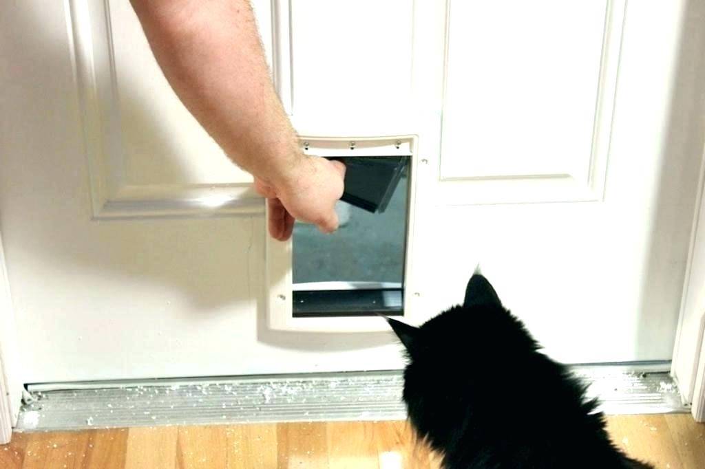 ᐉ как организовать туалет для нескольких кошек? - ➡ motildazoo.ru
