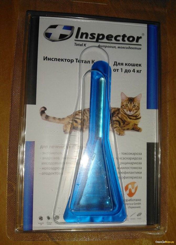 Капли инспектор для кошек: инструкция по применению и отзывы