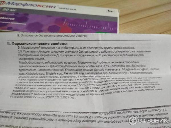 Марфлоксин 2% раствор для инъекций