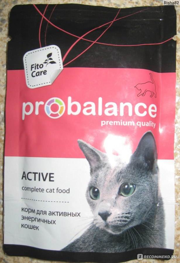 ᐉ обзор корма для кошек probalance - ➡ motildazoo.ru