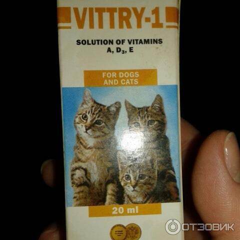 Топ-14 лучших витаминов для кошек