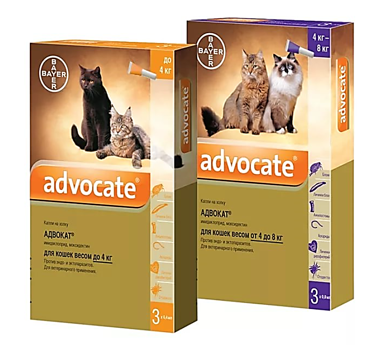 Адвокат: капли для кошек от паразитов