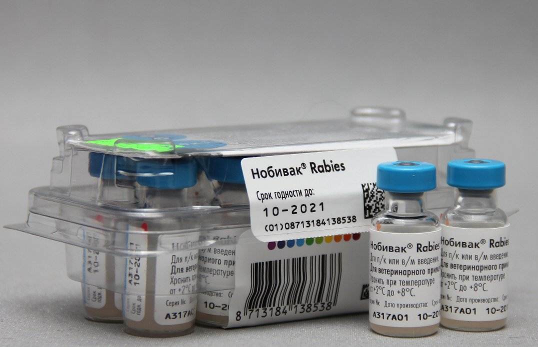 Опубликованы первые данные по инактивированной вакцине против covid-19 «ковивак»