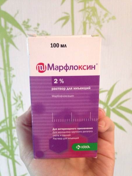 Марфлоксин для собак — инструкция по применению инъекций и таблеток