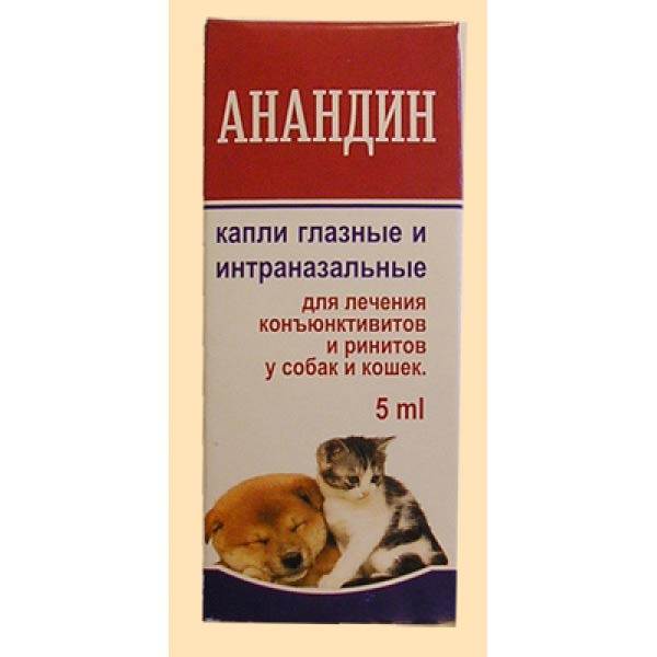 Максидин назальный. максидин для кошек: инструкция по применению