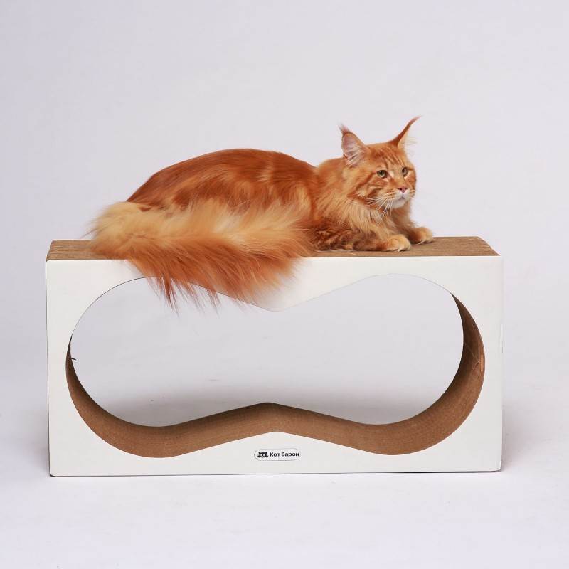 Когтеточка из картонных коробок своими руками для кошек: пошаговая инструкция как сделать когтедралку для кошки из гофрированного картона шаблоны, фото