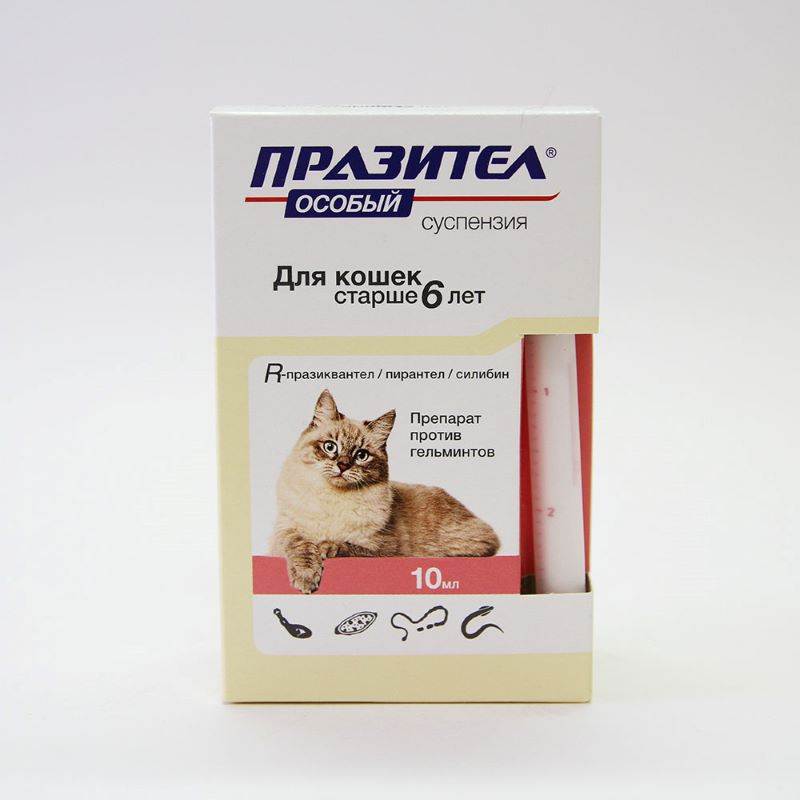 Средство от глистов для кошек: таблетки и суспензии