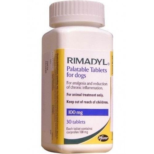 Римадил: анальгетик для собак, помогающий при проблемах с суставами