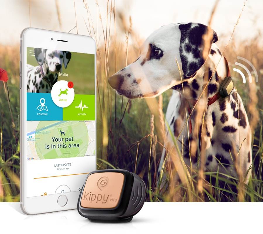 Gps маячок для животных: кошек и собак, джипиэс радио трекер для слежения за животными на ошейник, узнать где питомец