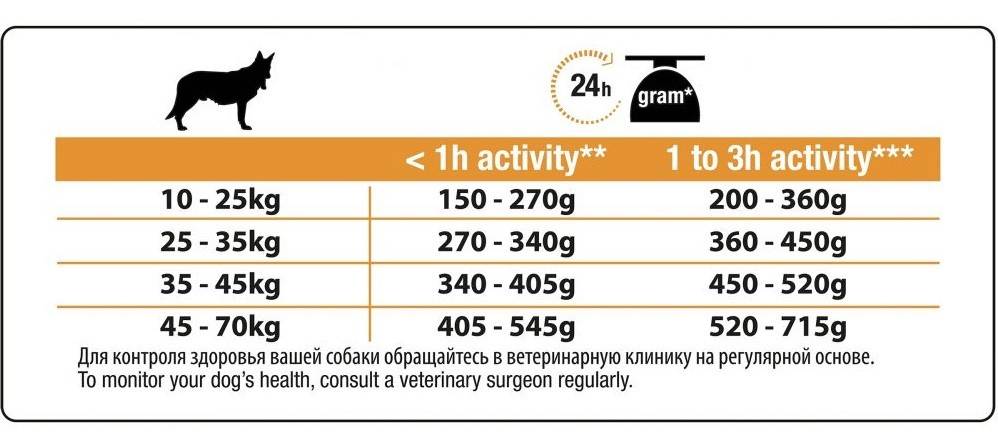 Лучшие корма для собак мелких пород 2021 года: рейтинг сухих и влажных кормов, холистиков