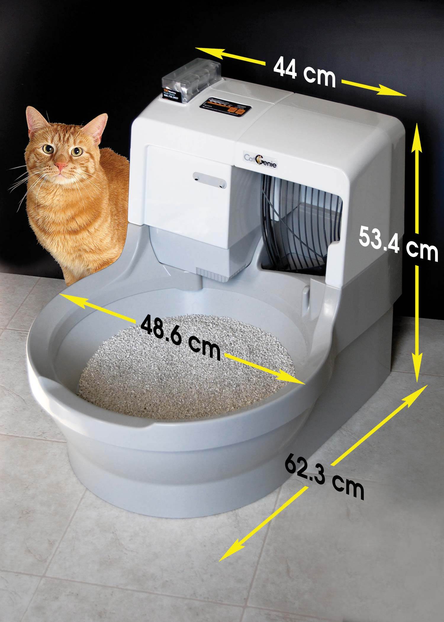 Туалет для кошки: как выбрать. 3 совета от заводчиков