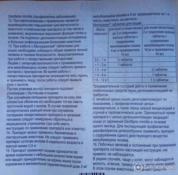 Милпразон: противоглистные таблетки для кошек и собак