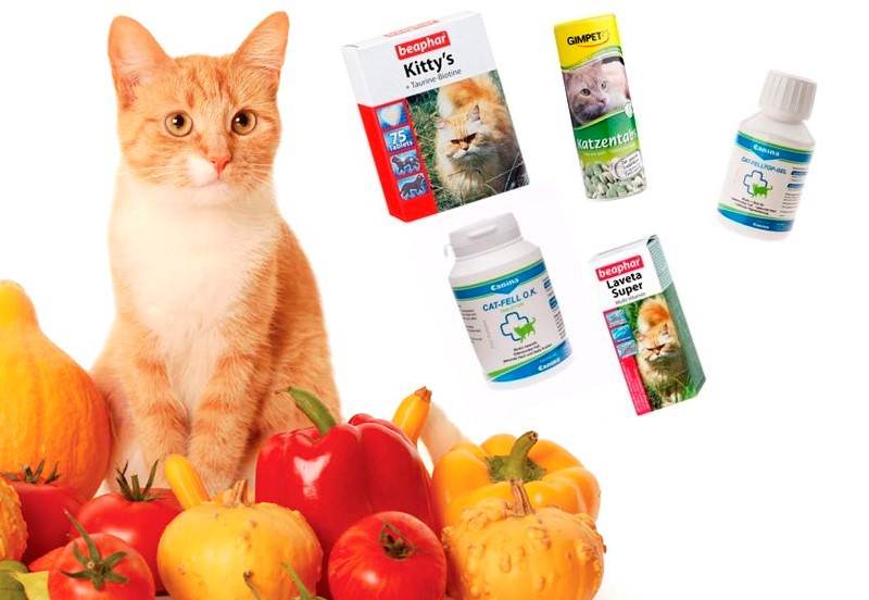 Лучшие витамины для кошек