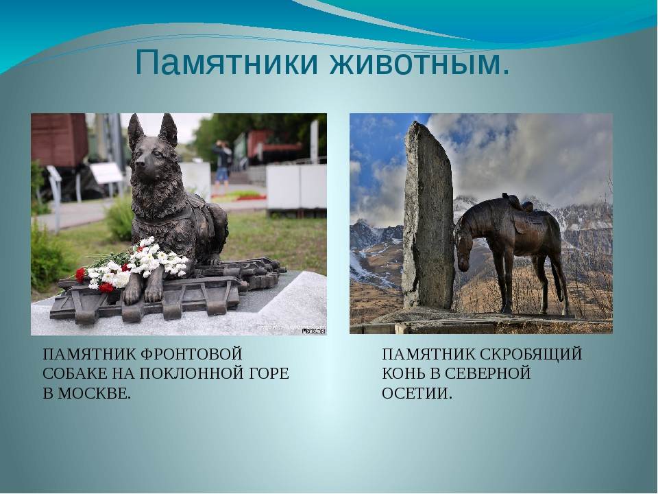 Родом из детства: 7 памятников героям мультфильмов и сказок в москве
