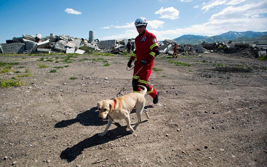 Породы собак которые помогают спасать альпинистов