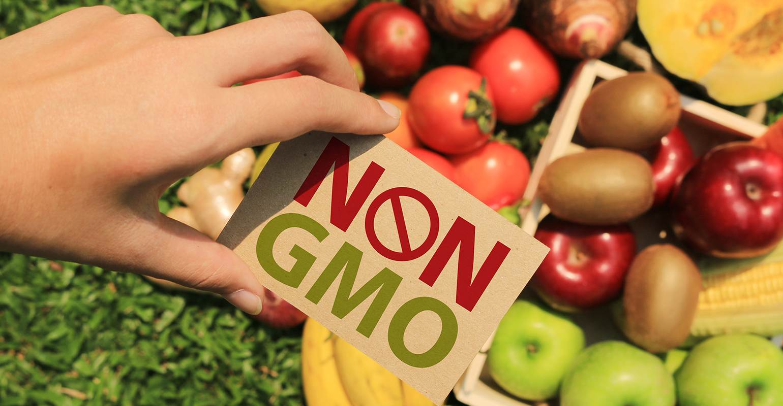 ГМО и органические продукты в питании домашних животных