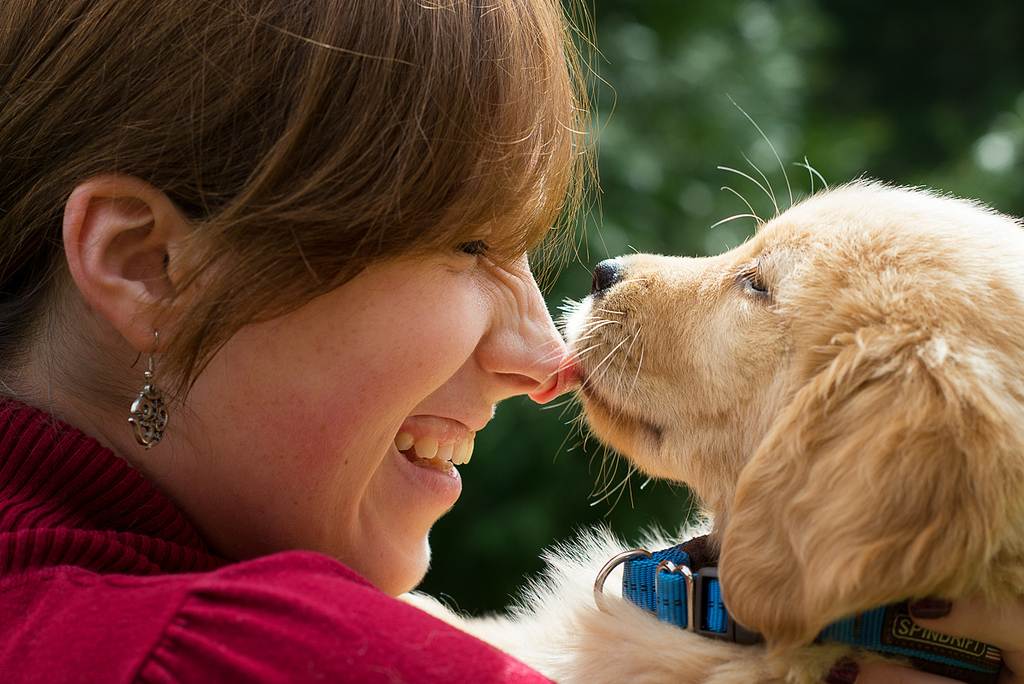 11 удивительных способов, которыми собака выражает любовь. если собака любит вас, то она трется о вас мордой