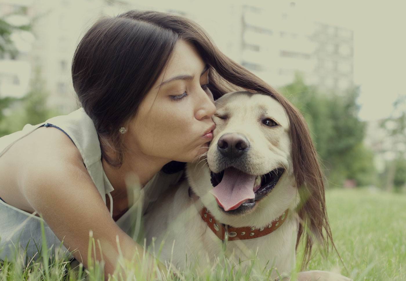 10 признаков того, что собака вас любит