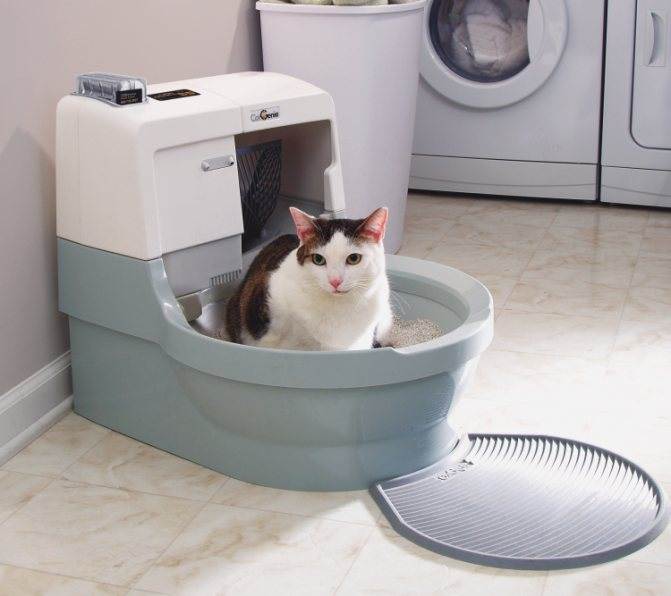 Умный автоматический туалет для кошек: особенности разных моделей