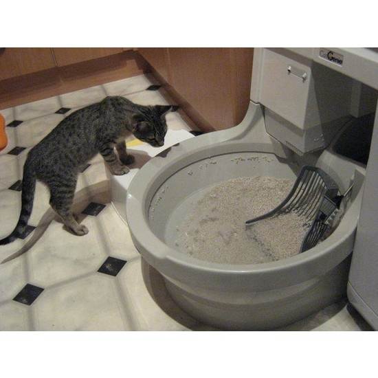 Автоматический туалет для кошек и котов cat klozet