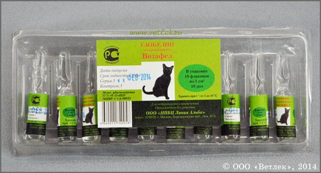 Глобулин «витафел» и сыворотка «витафел-с» для кошек: инструкция по применению