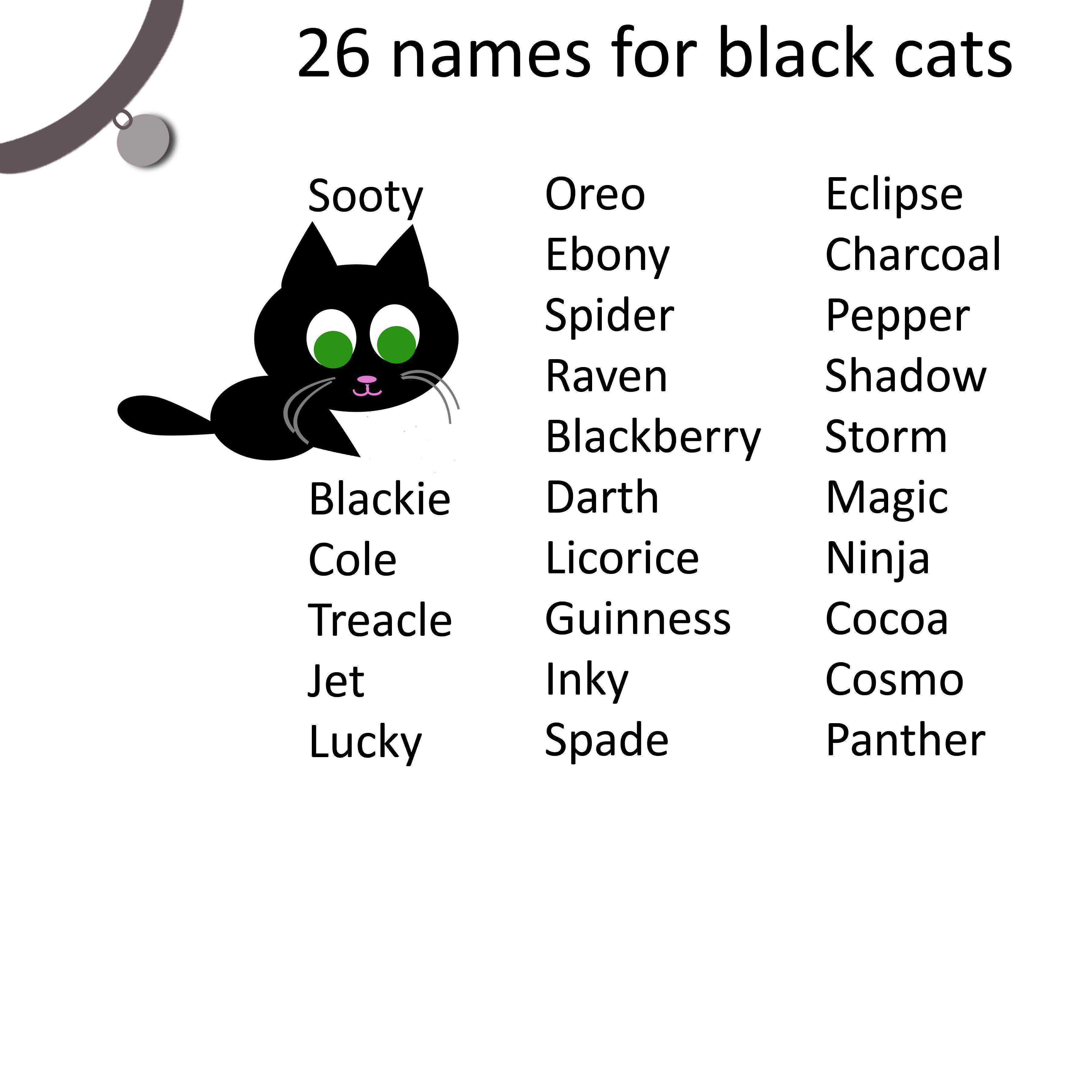 Как назвать чёрного котёнка мальчика или девочку: перечень популярных, красивых и прикольных кличек