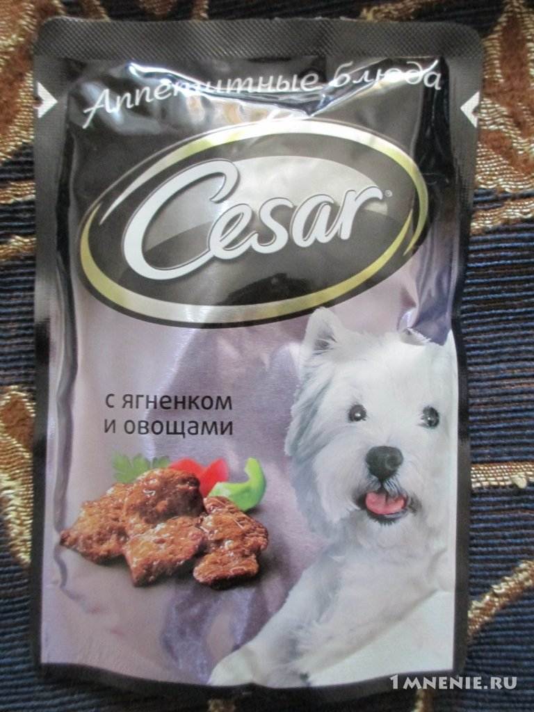 Цезарь — собачий корм супер-премиум класса