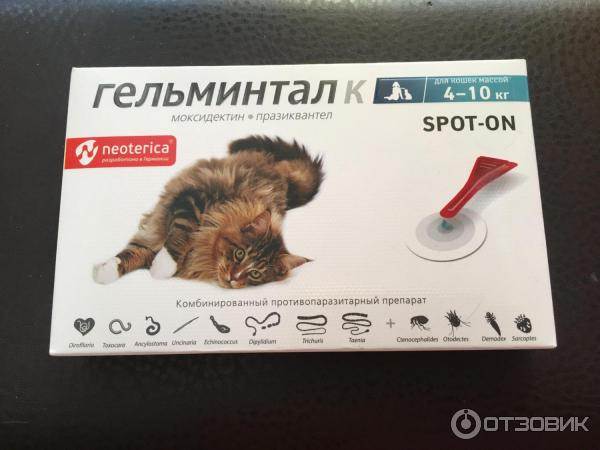 Капли на холку для кошек гельминтал: инструкция по применению, отзывы, побочные эффекты