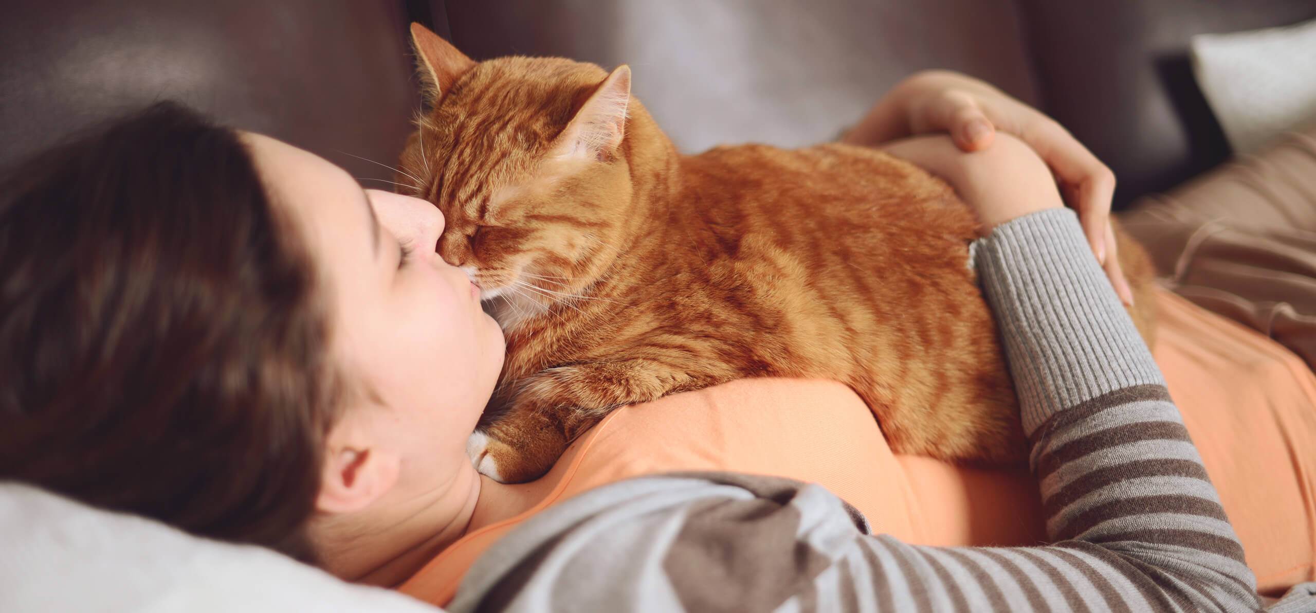 Почему кошка спит в вашей постели: приметы и что это значит?