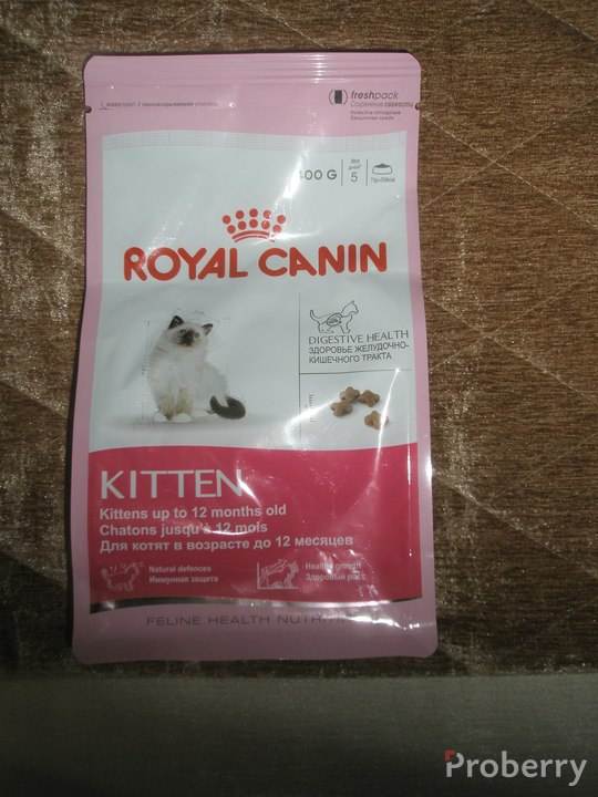 Обзор кормов для кошек royal canin