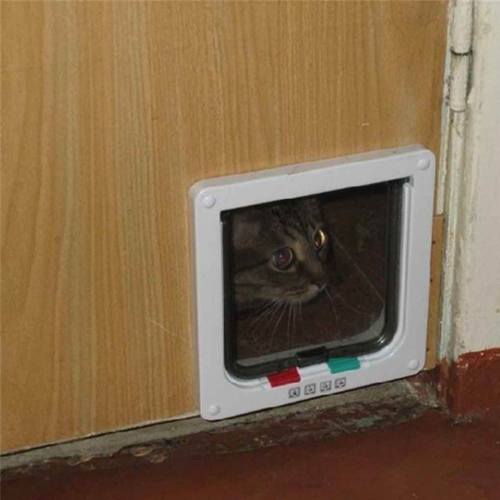 Как сделать правильный выбор дверцы для кошки без лишних хлопот - мир кошек