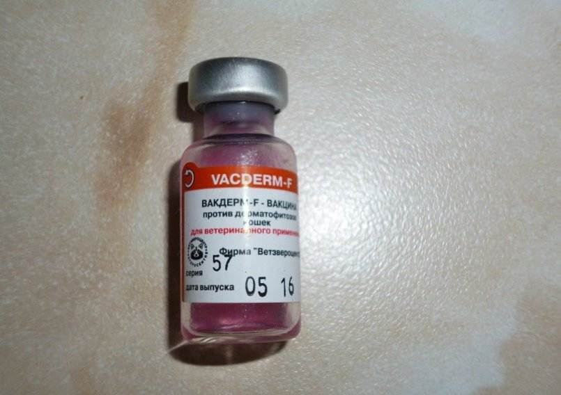 Вакдерм — вакцина для профилактики и лечения дерматофитозов животных
