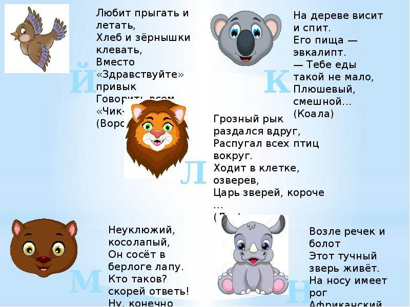 Загадки про животных для детей 6-7 лет с ответами