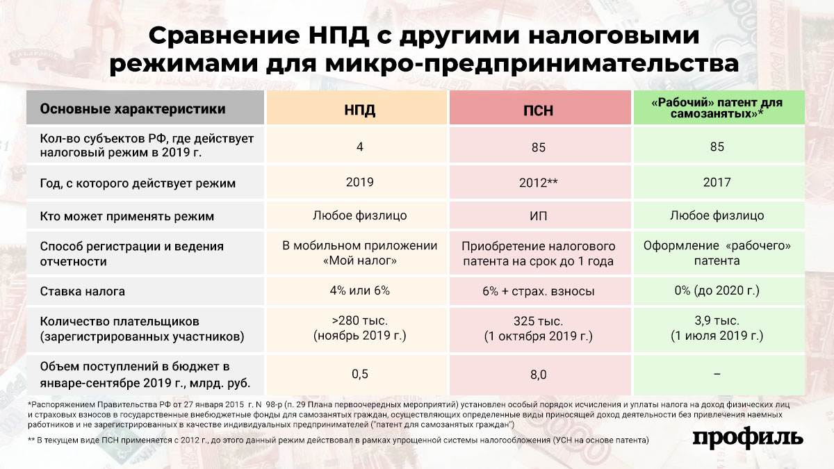 Домашних животных в россии в 2019 году могут обложить налогом в случае принятия закона