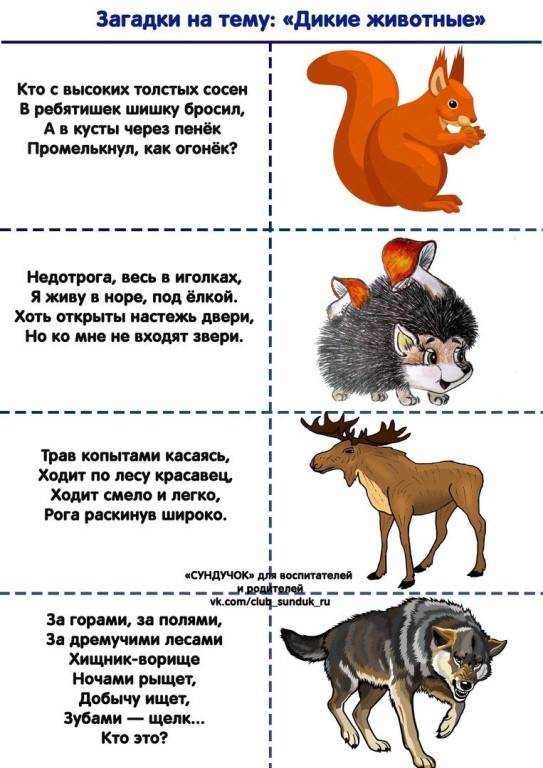 Короткие загадки для детей про животных. лёгкие загадки про животных для детей. загадки про животных в стихах и в прозе
