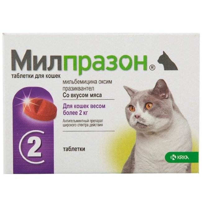 Препараты для дегельминтизации кошек | муркоша