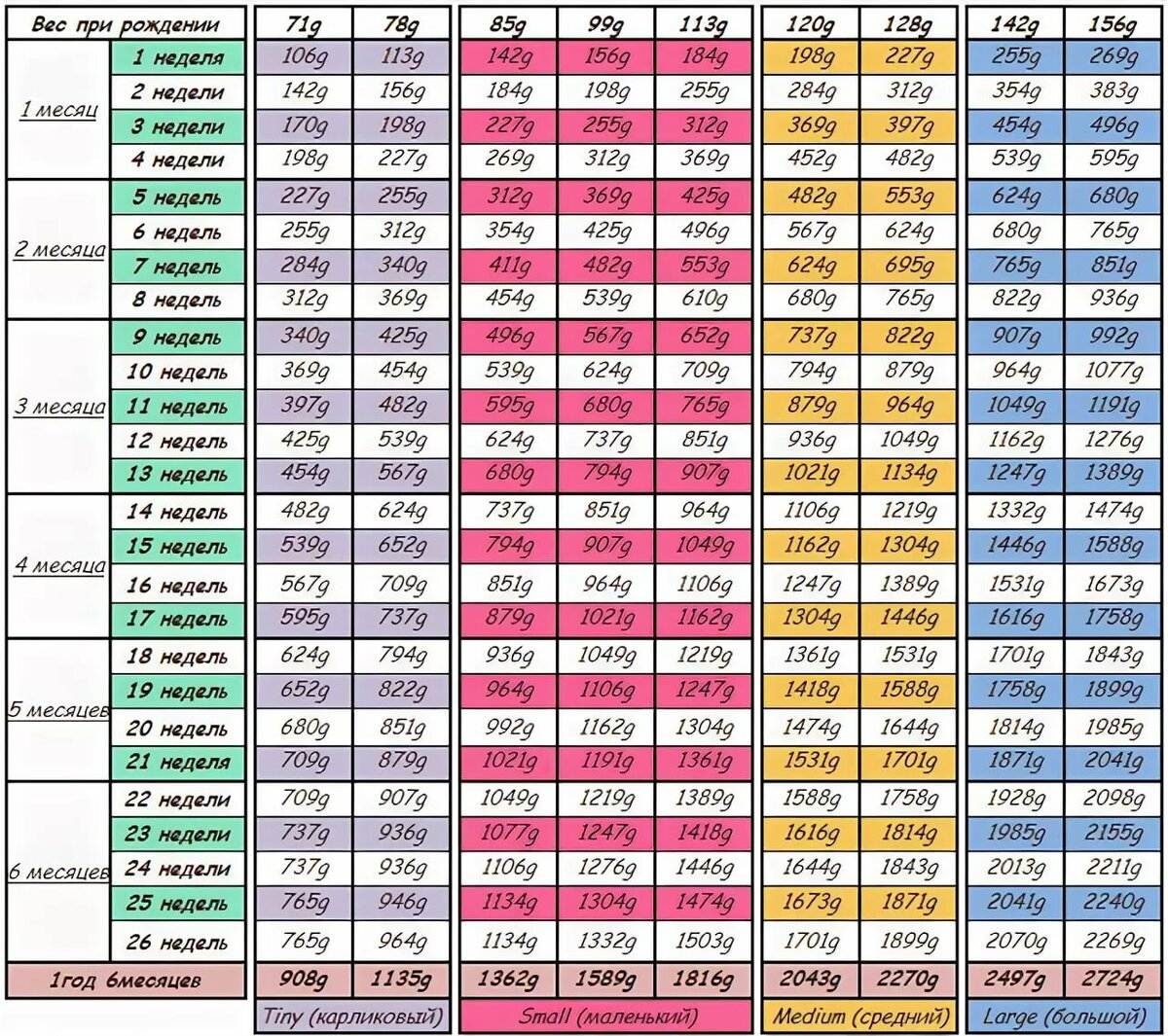 Таблица веса чихуахуа по неделям, стандарт по месяцам