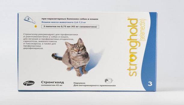 Власоеды у кошек: симптоматика, этиология и лечение паразитов